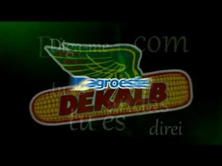 Parcerias Ouro Safra