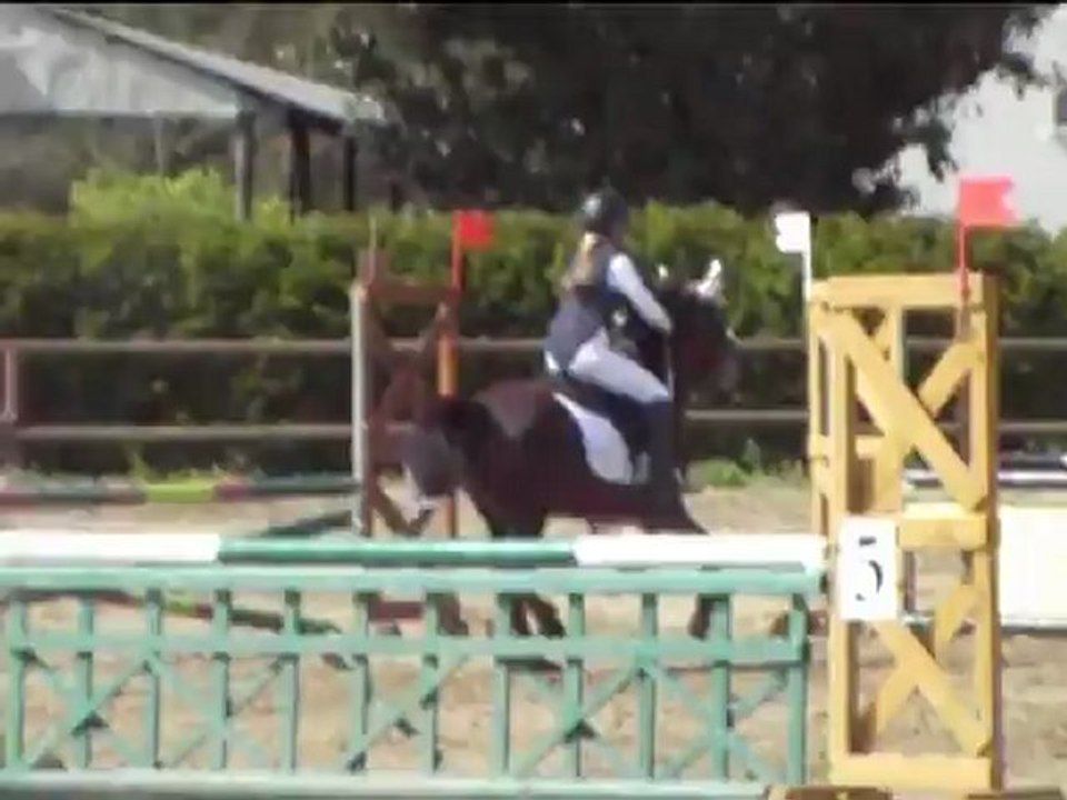 O belle & maéva poney2