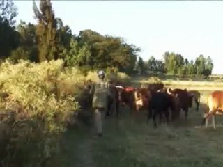 People & Power - Green Lake - 21 Feb 09 - Part 1