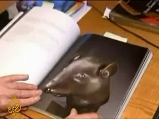 Chinese 'renegade bidder' thwarts art auction - 02 Mar 09