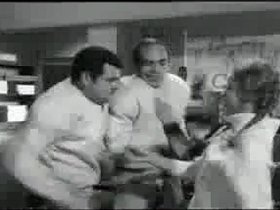 LA PULGA
