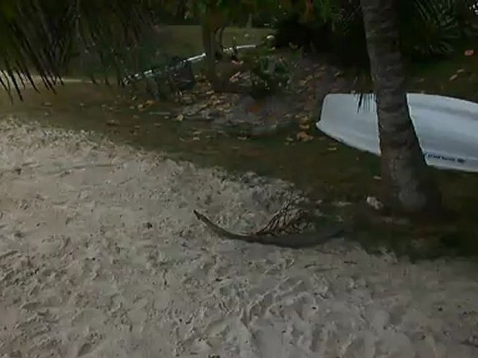 Casa en las Islas
