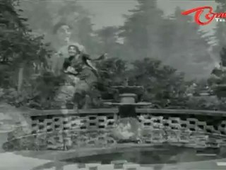 Poola Rangadu Songs - Ayira Cinnoda - ANR - Jamuna