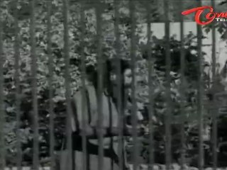 Poola Rangadu Songs - Chillara Raallaku - ANR - Jamuna