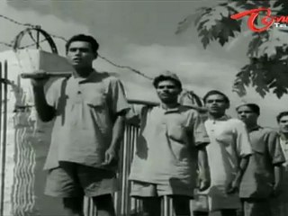 Poola Rangadu Songs - Chillara Raallaku - ANR - Jamuna