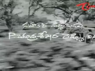 Poola Rangadu Songs - Neethiki Nilabadi - ANR - Jamuna