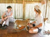 Walking with Lions at Ukutula Lion Park in South Africa - Africa Travel Channel