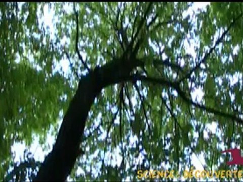 Chemin Neuf - été 2011 - camp 14-18 ans