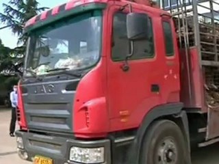 Over 500 caged dogs saved in China