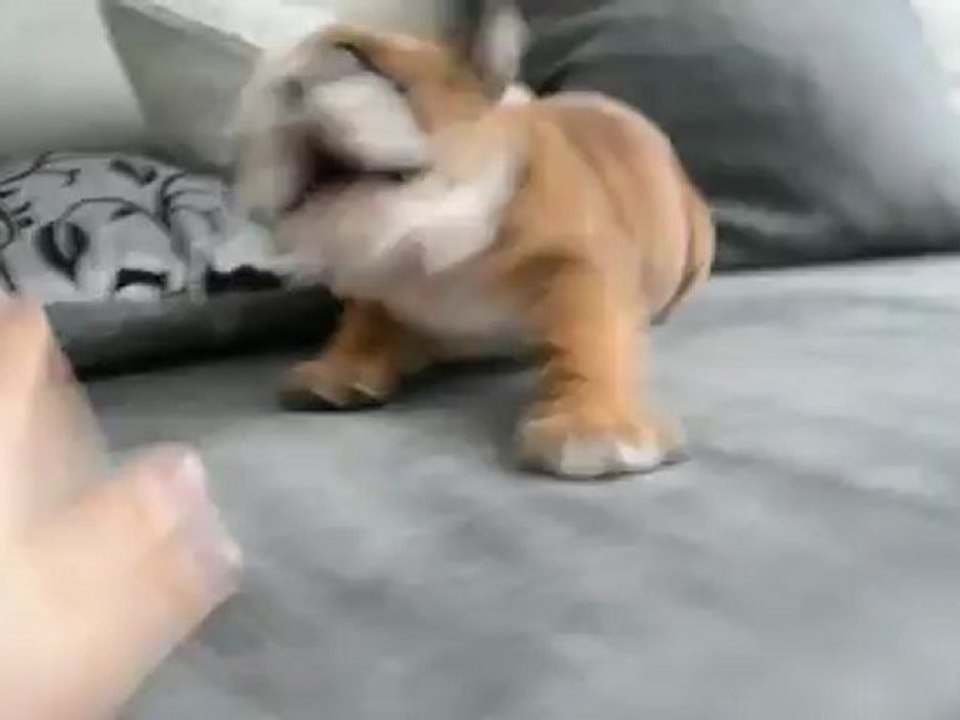 June 6 semaines & 5 jours