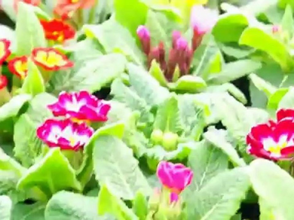 canon eos 5d mark iii test [nikon canon sony ](1080p_H.264-AAC)