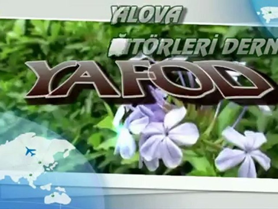 Yalova Fotoğraf Amatörleri Derneği YAFOD