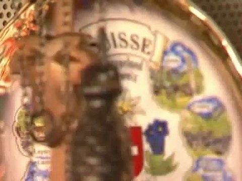 People & Power - Tax Havens/Ivory Coast - 26 Aug 09 - Part 1