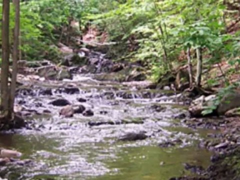 MA TERRE (Les Compagnons de la Chanson)