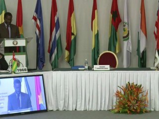 Mali transition to last a year: regional leaders