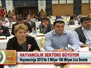 HAYVANCILIK SEKTÖRÜ BÜYÜYOR 26.04.2012