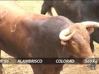 SORTEO TOROS 27 ABRIL