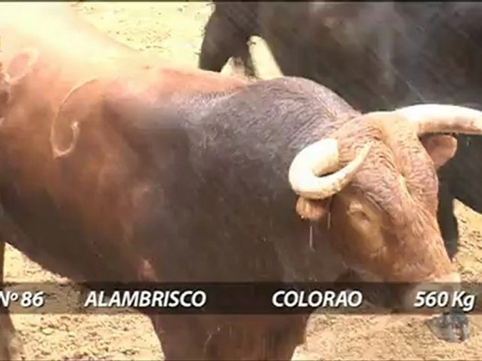 SORTEO TOROS 27 ABRIL