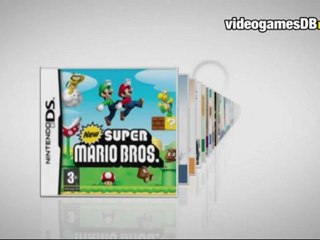 Console Nintendo DSi