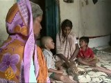 Failing crops drive Indian farmers to suicide - 2 Sep 09