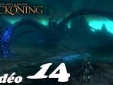Les Royaumes D'Amalur Age Of Reckoning (14/16)