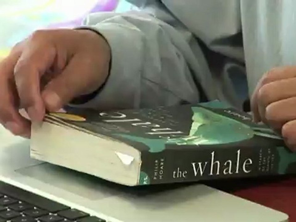 Grauwale hautnah: Auf Tuchfühlung mit den sanften Riesen