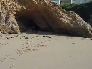 Neeko dans les vagues