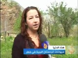 حيوانات كردستان البرية في خطر