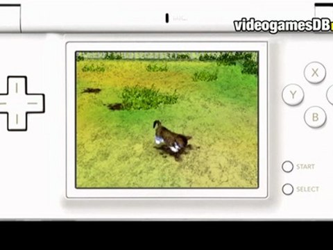 Les Sims 2 : Mes petits compagnons