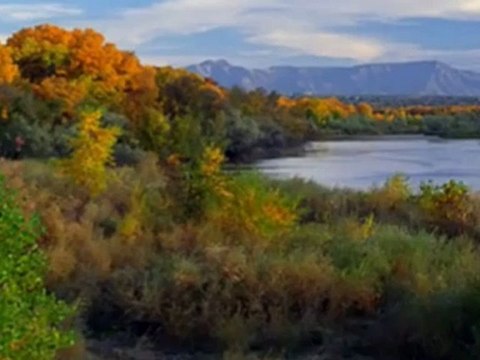 LA PRISON DES ORPHELINS (Michel MALLORY)