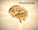 Programme d'Entraînement Cérébral Avancé du Dr Kawashima