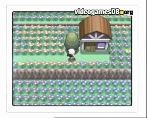 Pokemon diamand et perle