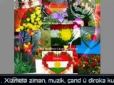 Kurd1 kete sala çaran. Li kurdîhezan pîroz be. Stran: RODÎ~AZAD (Bi kurmancî biaxive)