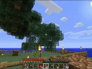 Minecraft survie partie 10 djfantome151