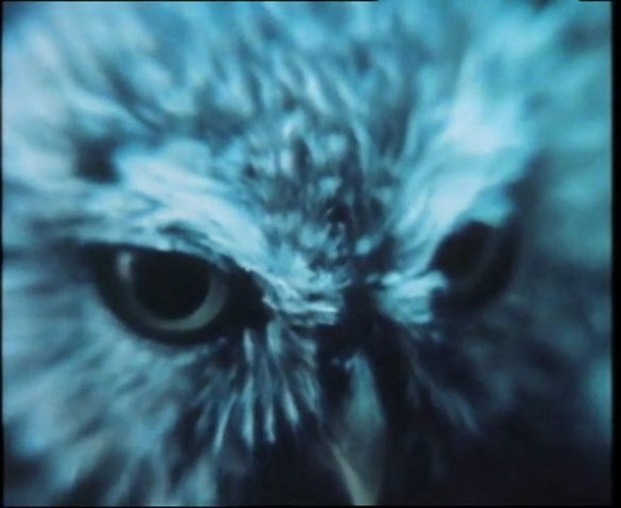 Grèce, 12 mots ou l’Héritage de la chouette 00. Générique