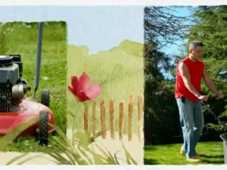 South Bay Landscaping (310) 644-8853