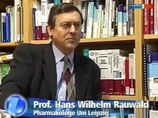 Zistrose - Cistus altes Heilmittel Borreliose