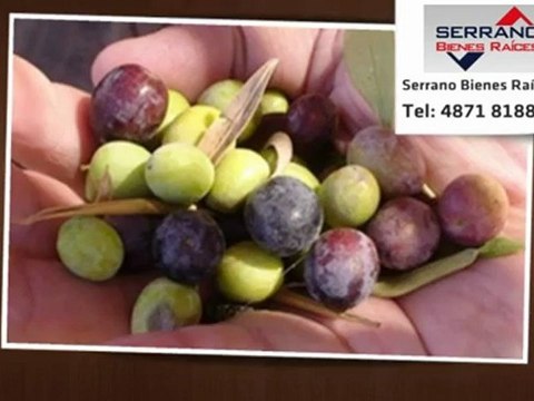 VENTA - Campo o Chacra - Ruta 60 al - Catamarca - USD 28000