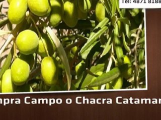 VENTA - Campo o Chacra - Ruta 60 al  - Catamarca - USD 15600