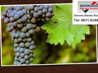 VENTA - Negocio o Fondo de Comercio - Ruta 60 al  - Catamarc