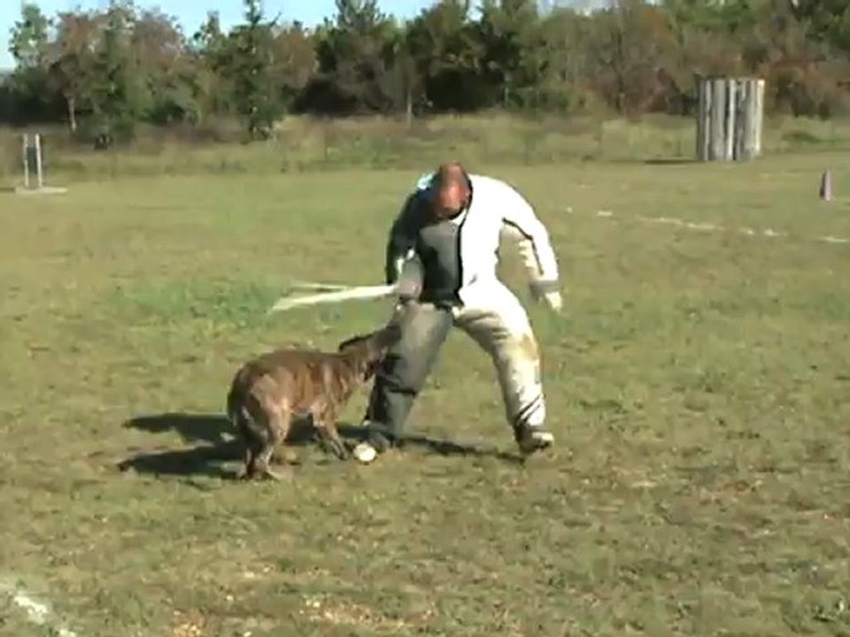 B'Thémis fuyante ring 3 Girolles HA Rodriguez