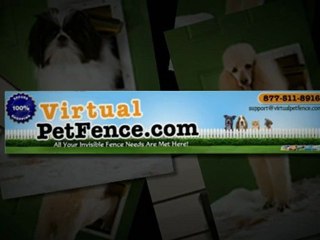 How to install a pet door in wall and door