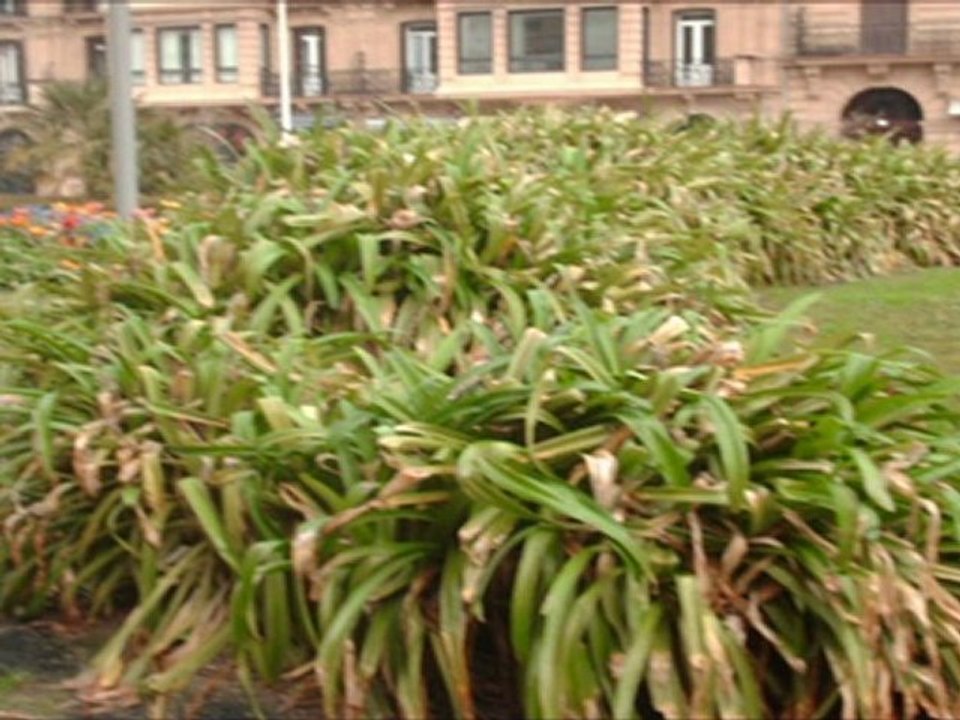 SAN SEBASTÍAN - DONOSTIA (PAÍS VASCO)