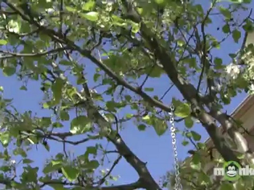 How To Repurpose Items For Garden Decor