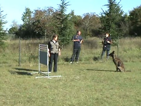 B'Thémis Saut de haie (ring) 1,20m
