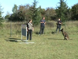 B'Thémis Saut de haie (ring) 1,20m
