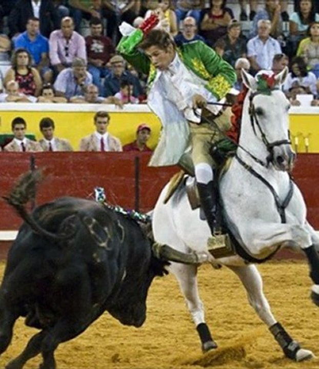 Concurso de Ganadarias em Évora