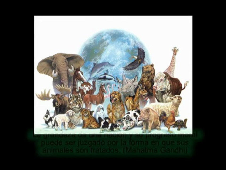 DIA DEL ANIMAL