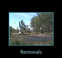 Tree Removal Brisbane | Arbor Innovations PH:07 3424 5991