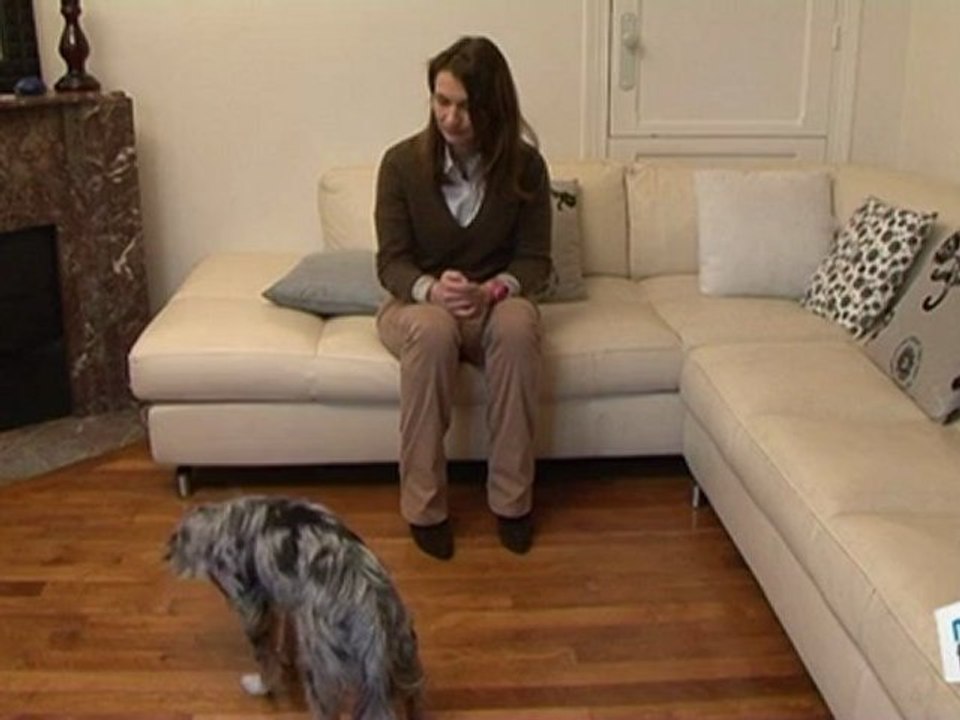 Vie Pratique : Dresser son chien : coucher